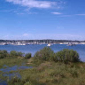 Meet your Posher, Caitlin